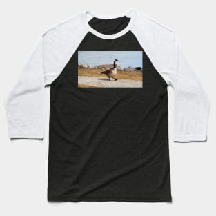 Canada Goose Walking On The Sidewalk Baseball T-Shirt